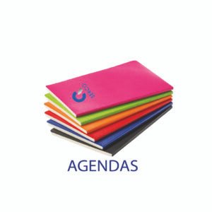 AGENDA PERSONNALISE POCHE/MINISTRE/ PRESIDENT/ PRESTIGE